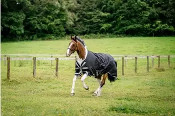 Horseware Amigo 1200D Turnout 0g Black/Titanium Grey & Silver 160