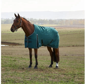 WeatherBeeta Comfitec Classic Turnout 220g Forest Green/Black 140