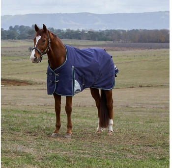 WeatherBeeta Comfitec Plus Dynamic Turnout 0g Navy/Forest Green 125