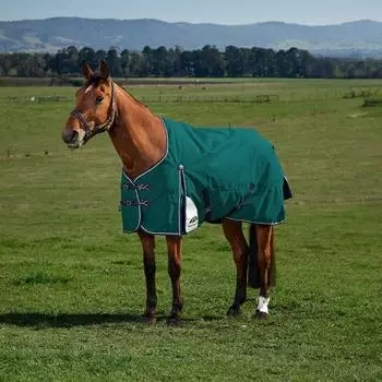 WeatherBeeta Comfitec Plus Dynamic Turnout 220g Forest Green/Navy 140