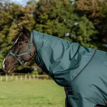Horseware Amigo Ripstop 900D Turnout Hood 150g Dynasty Green/Navy & Silver XL