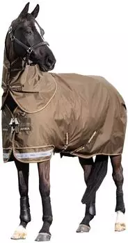 LeMieux Arika 600D Ripstop 0g Turnout Rug Alpine 152