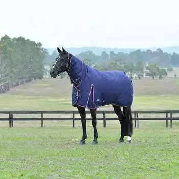 WeatherBeeta Comfitec Essential Turnout Combo 220g Navy/Burgundy 140