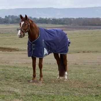WeatherBeeta Comfitec Plus Dynamic Turnout 220g Navy/Forest Green 145