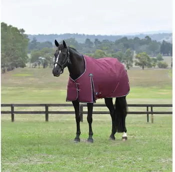 WeatherBeeta Comfitec Essential Turnout 220g Burgundy/Navy 125