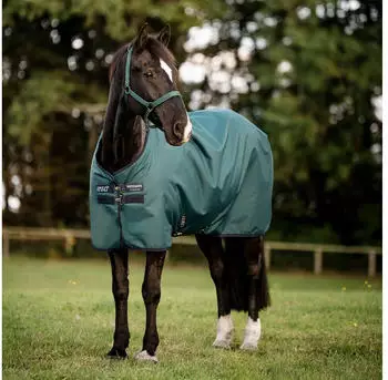 Horseware Weidedecke AMIGO Ripstop 900 Denier 50g dynast green 160 cm