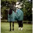 Horseware Weidedecke AMIGO Ripstop 900 Denier 50g dynast green 160 cm