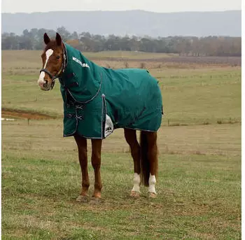 WeatherBeeta Comfitec Plus Dynamic Turnout Detach-A-Neck 100g Forest Green/Navy 145