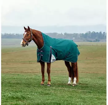 WeatherBeeta Comfitec Plus Dynamic Turnout High Neck 220g Forest Green/Navy 150