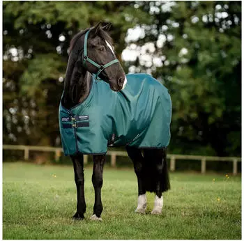 Horseware Weidedecke AMIGO Ripstop 900 Denier 100 g dynast green 160 cm