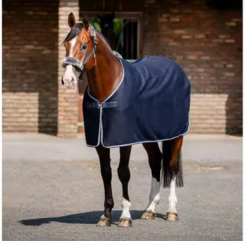 Bucas Emerald Wool Rug Navy 140