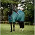 Horseware Weidedecke AMIGO Ripstop 900 Denier ohne Füllung dynast green 160 cm