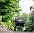 Horseware Amigo 1200D Plus Turnout 50g Black/Titanium Grey/Silver 155