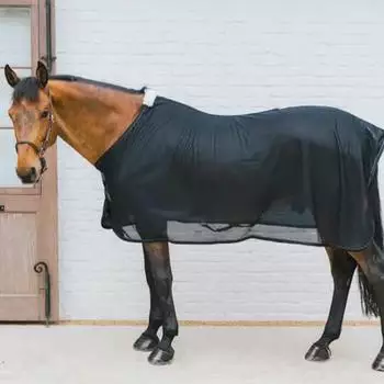 Kentucky Horsewear Horsewear Mesh Fliegendecke Schwarz 155 | kavalio - für mich und mein Pferd