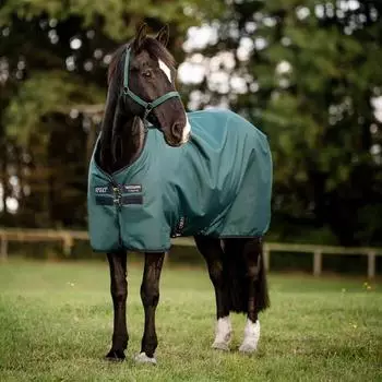 Horseware Weidedecke AMIGO Ripstop 900 Denier 50g dynast green 140 cm