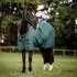 Horseware Weidedecke AMIGO Ripstop 900 Denier 50g dynast green 140 cm