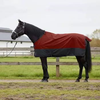 vidaXL Pferdedecke dunkelgrün und schwarz 155cm, Polyester