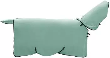 vidaXL Pferdedecke sondergrün 85cm, Polyester (42013308)