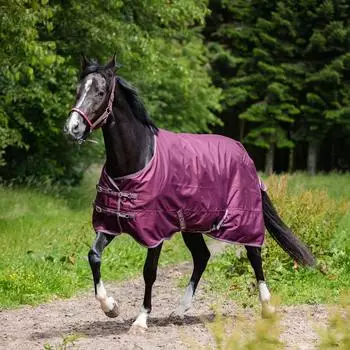 Horse Guard Landon Turnout Pferdedecke 120D, 0g, pflaume, 115cm (50490150107)