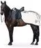 Equinate Xtreme-Visible Ausreitdecke reflektierend, wasserdicht, Fleece (M)