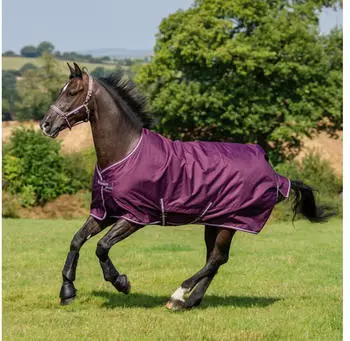 Bucas Freedom Turnout Pferdedecke 300g, blackberry, 155cm