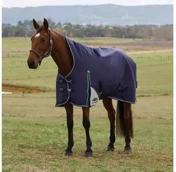 WeatherBeeta Comfitec Plus Dynamic Turnout High Neck 0g, navy/forest green, 145cm (1031406017)