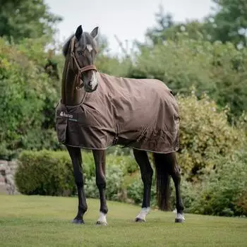 Bucas Outdoordecke Irish Turnout 150 g espresso 165 cm