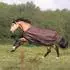 Bucas Outdoordecke Irish Turnout 150 g espresso 165 cm
