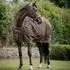 Bucas Outdoordecke Irish Turnout 150 g espresso 165 cm