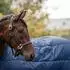 Horseware Unterdecke Liner 50 g navy 125 cm