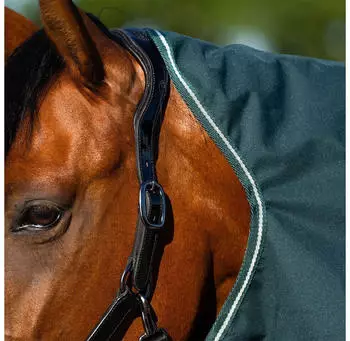 Imperial Riding IRHBasic Outdoor-Pferdedecke 400g, abnehmbares Halsteil, grün (DE50325BP9-6000-165)
