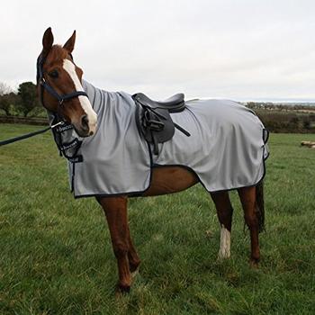 Bucas Buzz-Off Riding S Silver