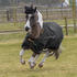 Bucas Irish Turnout Light