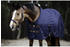 Kentucky Horsewear Stalldecke 0g 130cm blau