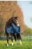 Horseware Liner