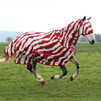 Bucas Buzz Off Zebra Full Neck 140cm rot/wei&szlig;