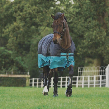 Horseware Mio Turnout 200g 75cm Black with Turquoise & Black
