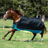 Horseware Mio Turnout 200g 145cm Black with Turquoise & Black