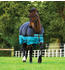 Horseware Mio Turnout 0g 90cm Black with Turquoise & Black