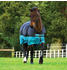 Horseware Mio Turnout 0g 80cm Black with Turquoise & Black