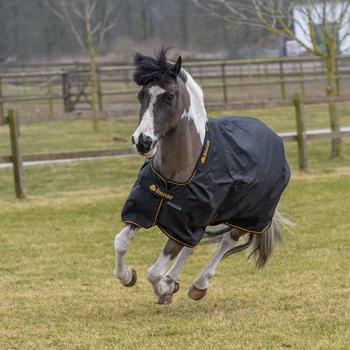 Bucas Irish Turnout Light 50g 110cm schwarz/gold