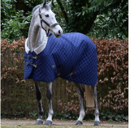WeatherBeeta Comfitec Deluxe Diamant-Stepp Standard Heavy 400g 140cm blau