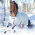Bucas Power Turnout Light Big Neck