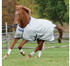 Bucas Power Turnout Light Big Neck