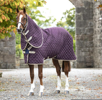 Horseware Amigo Stable Plus Med Disc Stable Rug with detachable Neck Piece, 200g FPU/DB/TBR 160