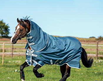 Horseware Amigo AmECO 12 Plus Turnout 250g 140cm blau