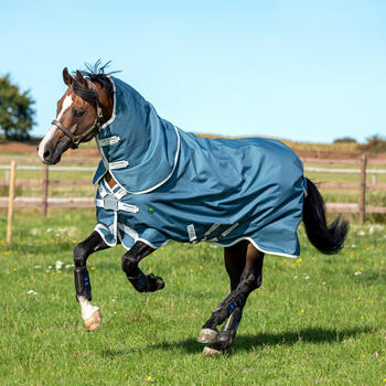 Horseware Amigo AmECO 12 Plus Turnout 0g 155cm blau