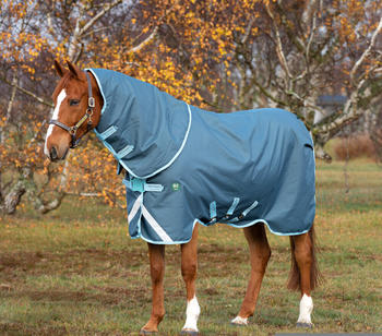 Horseware Amigo AmECO 12 Plus Turnout 250g 115cm blau