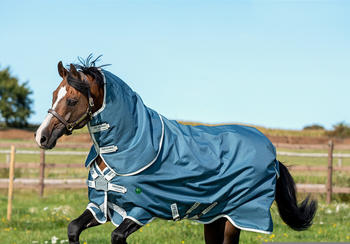 Horseware Amigo AmECO 12 Plus Turnout 250g 155cm blau