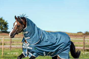 Horseware Amigo AmECO 12 Plus Turnout 250g 145cm blau